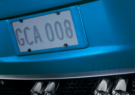 C6 Corvette GM OEM Accessory Color Matched Rear License Plate Frame