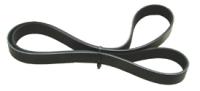 Lingenfelter 8 Rib Poly V Belt CTS-V For LPE 2.55 Inch Upper Pulley