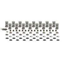 Brian Tooley Racing LS7 Dual Spring Kit 0.685 in Lift - SK702/0560/BB