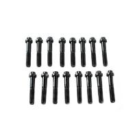 Brian Tooley Racing Rocker Arm Trunnion 12-Point Bolt Kit GM LS-Series