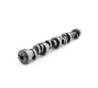 Brian Tooley Racing Stage 2 Centrifugal Supercharged Camshaft - GM LS-Series