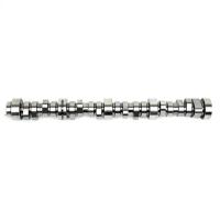 Brian Tooley Racing Gen V Stage 2 Camshaft - GM LS-Series - Lift 0.639/0.639 in