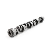 Brian Tooley Racing PDS Stage 3 Torque Camshaft - GM LS-Series