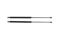 PARAGON PERFORMANCE C8 CORVETTE CARBON FIBER HOOD STRUTS - EXTRA DUTY