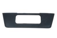 Paragon C8 Corvette ERAY & Z06 License Plate Insert - Carbon Fiber
