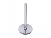 GM Genuine Parts LT4 & LT5 Titanium Intake Valve