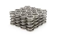 Pac Racing Springs RPM Series Valve Spring - GM LS-Series - Set of 16