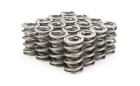 Pac Racing Springs RPM Series Valve Spring - GM LS-Series - Set of 16
