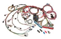Painless Wiring Extra Length EFI Wiring Harness - GM LS-Series 2003-06