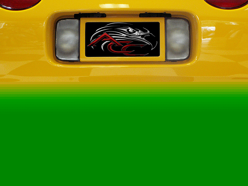 1999-2004 C5 Corvette, Exhaust Filler Panel Polished Corsa Pro Series Quad Tip, 100% Stainless Steel