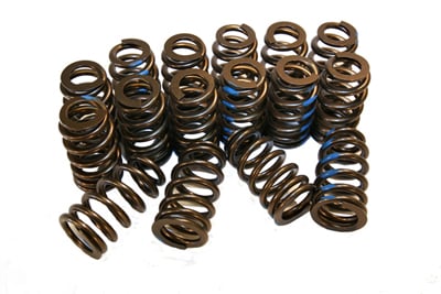 Valve Springs, LS1/LS6/LS2 High-Performance, 600 Lift (Set of 16