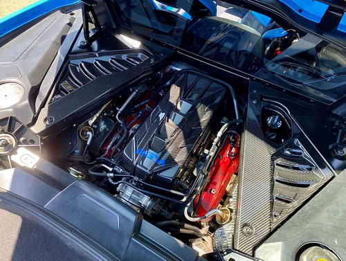 20-23+ C8 Corvette  Carbon Fiber Strut Appearance Package, AGMotorsports