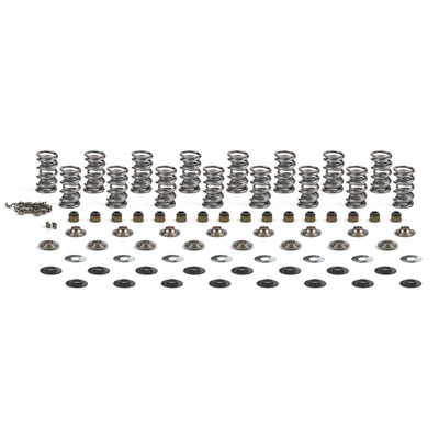 Brian Tooley Racing LS7 Dual Spring Kit 0.685 in Lift - SK702/0560/BB