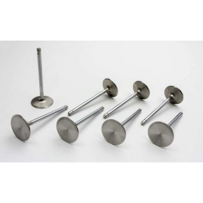 Intake Valve, Pro Flo, 2.205 in Head, 5/16 in Valve Stem, 5.200 in Long, Stainless, LS7, Set of 8
