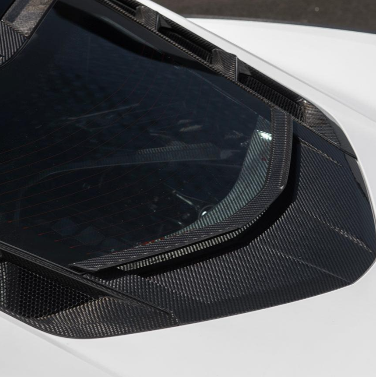 20-26+ C8 Corvette Coupe Carbon Fiber Rear Lower Window Trim - EOS