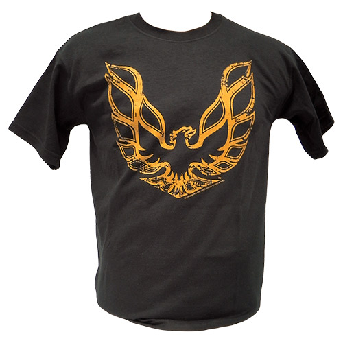 Children's 1969 Camaro with Flames Tee Shirt Medium -