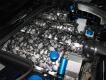 C5 Corvette LS1 or LS6 SKULLS Intake Cover