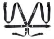 C5, C6, C7 Corvette Sparco Competition 6-Point Racing Harness, Steel with 3