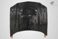 1998-2002 Chevrolet Camaro Carbon Creations DriTech Stingray Z Hood- 1 Piece