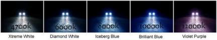 Autolumination Single Xenon HID KIT Ultra Bright 50w for C5, C6 Corvette, Pair
