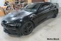16-22+ Camaro Side Accent Stripes, Big Worm