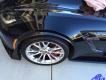 C7 Corvette 14-19 Laminated Carbon Fiber Z06 Spat Wheel Well Molding, Pair