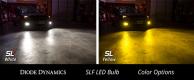 H10 SLF LED Cool White Single Diode Dynamics