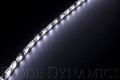 LED Strip Lights Cool White 200cm Strip SMD120 WP Diode Dynamics