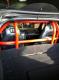 C5 Corvette Coupe 4, 5 or 6 Point Roll Bar, Standard Finishes 