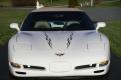 C5 Corvette, Hood Stripe Style Super 2, Two Color Stripes Kit 