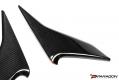 CCS C8 Corvette Carbon Fiber Lower Door Panel Overlay