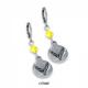 C8 Corvette Crystal Earrings