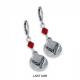 C8 Corvette Crystal Earrings