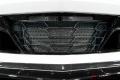 Paragon Performance C8 Corvette Z06 Oem Style Grille / Radiator Guards