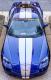 C6, Grand Sport, Z06 Corvette Hood Stripe - Racing Stripes 3, Full Body, 2 Color